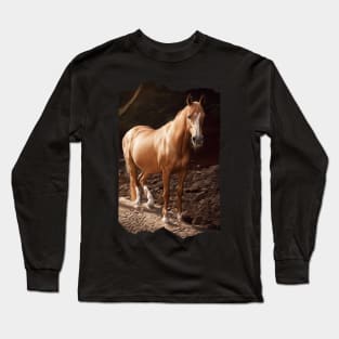 Chestnut Arabian Mare Long Sleeve T-Shirt